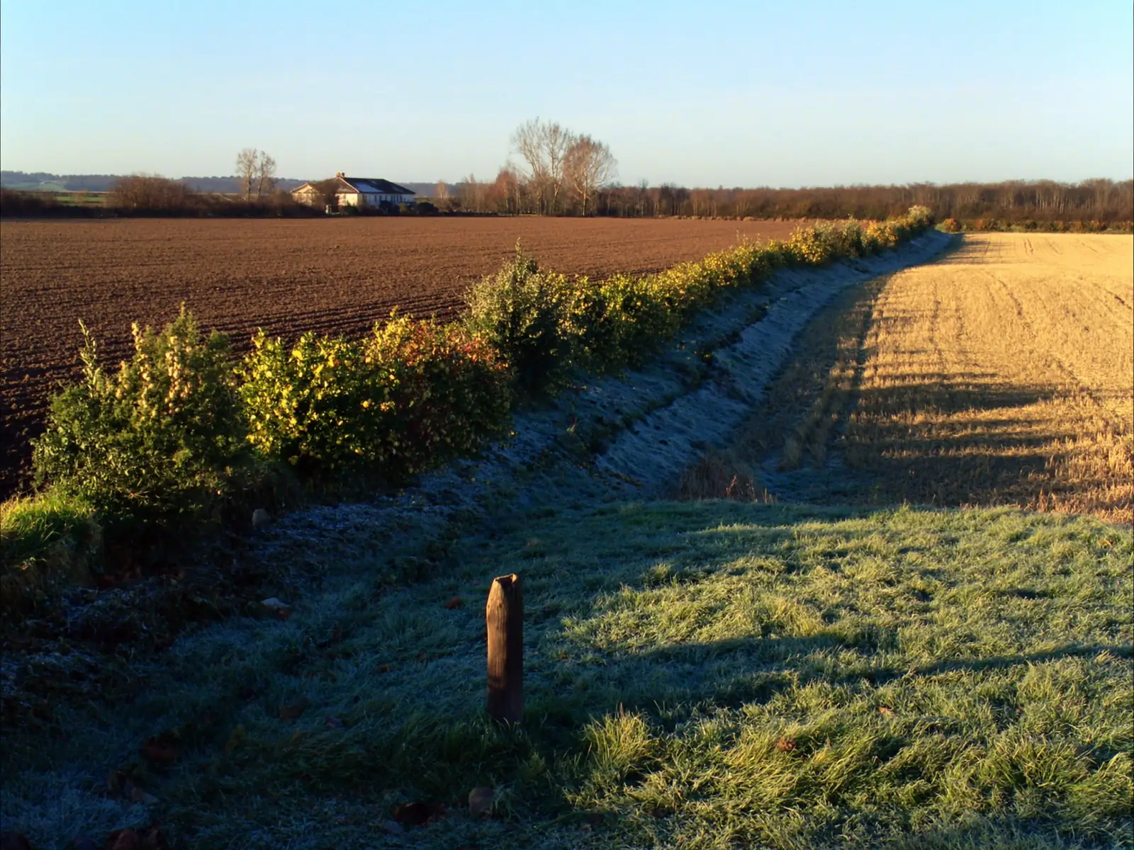 Læhegn og skelpæl i frost